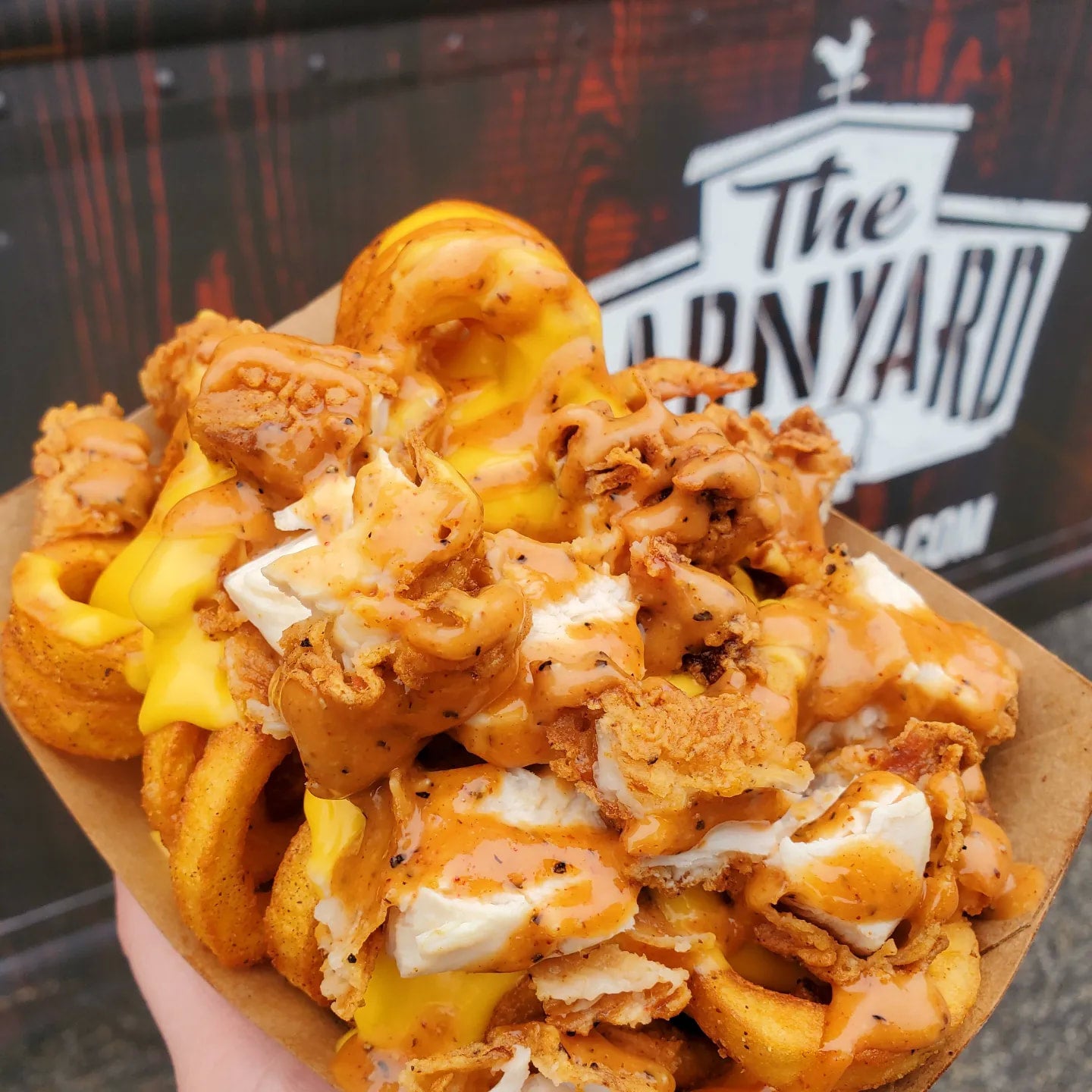 Rooster Fries The Barnyard